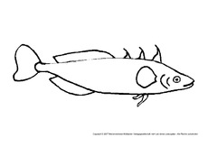 Fisch-3.pdf